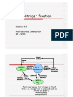 Plant & Nitrogen Fixation: Rizkita R E Plant Microbe Interaction Plant Microbe Interaction BI - 5239