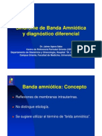 Sindrome de La Banda Amniotica