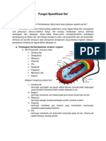 Fungsi Spesifikasi Sel