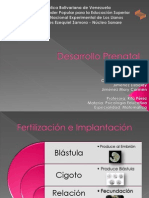 Desarrollo Prenatal