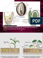 Fruit and Seed Dispersal PDF