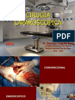 1b. Cirugia Laparoscopica 2011