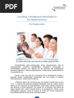 Coaching e Inteligencia Emocional en Las Organizaciones