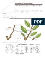 Identify Leaf Morphology & Arrangements