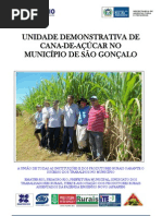 RELATÓRIO UNIDADE DEMONSTRATIVA CANA DE AÇÚCAR - São Gonçalo