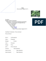 Download Pinus by niluhandya SN131222056 doc pdf