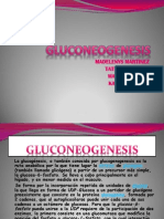 Gluconeogenesis 091211150446 Phpapp02