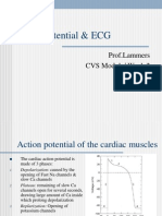 Action Potential ECG