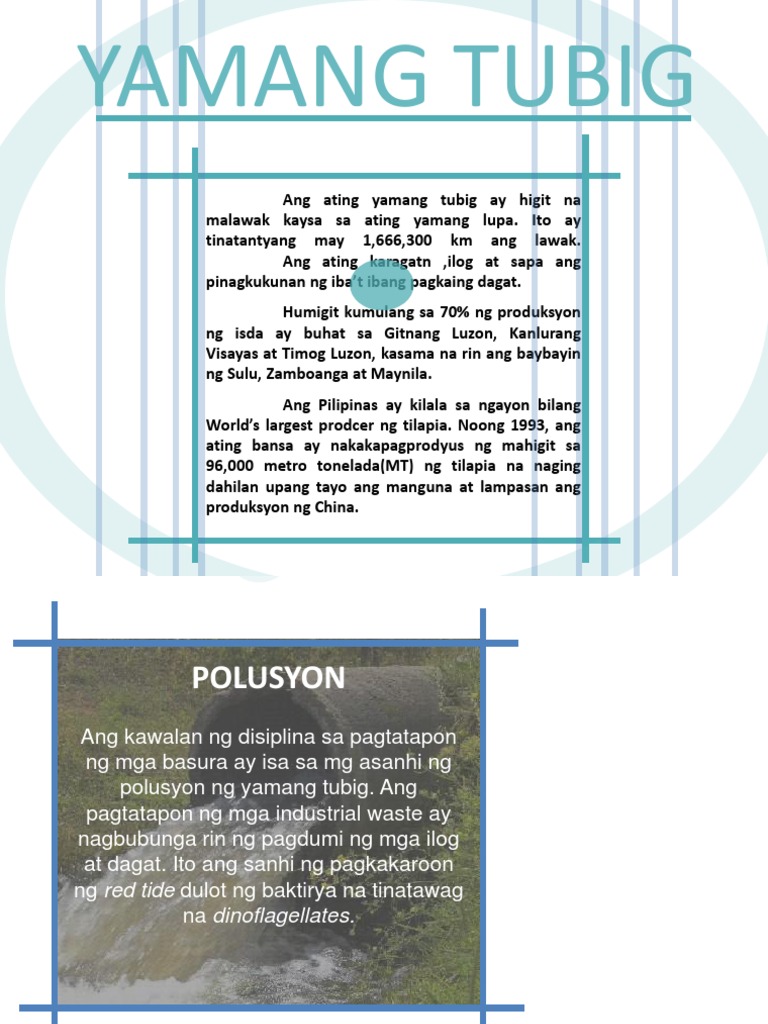 Presentasyon Tungkol Sa Yamang Tubig PDF
