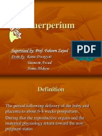 Puerperium Seminar
