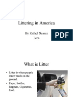 Littering in America