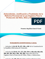 Procedimientos Especiales Lopnna. 2do. Cohorte. Junio 2011