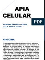 Terapia Celular