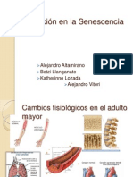 Nutrición en la Senescencia