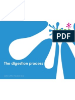 The Digestion Process Foundation