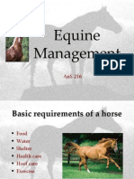 Equine Management 