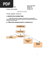 Download proiect didactic ciuperci by Isabelle Alexe SN131392125 doc pdf