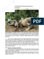 Tragedi Gajah Pigmi Di Sabah