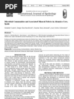 Download Sanchez by jmvictoria6870 SN13141727 doc pdf