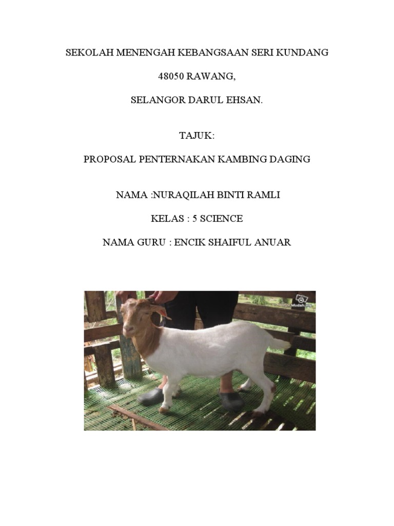 Kertas Kerja Penternakan Kambing Daging-Aqilah