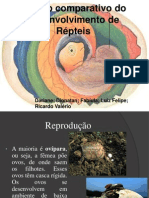 Embriologia dos Repteis.ppt