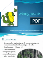 Manguezais (1)