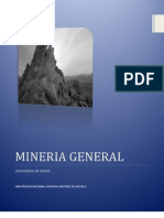 mineria.docx