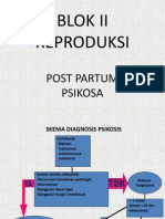 Post Partum Psikosa