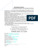 Astrologia Xamânica: As 12 Luas do Ano