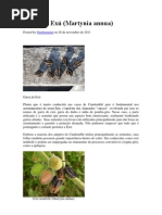 76590853-garra-de-exu