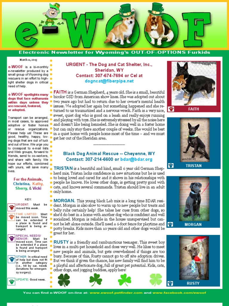 URGENT The Dog and Cat Shelter, Inc., Sheridan, WY Contact 307674