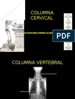 Clase 3 Columna Cervical
