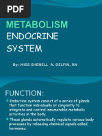 Download Review Endocrine Disorders FINAL by meranith SN13150758 doc pdf