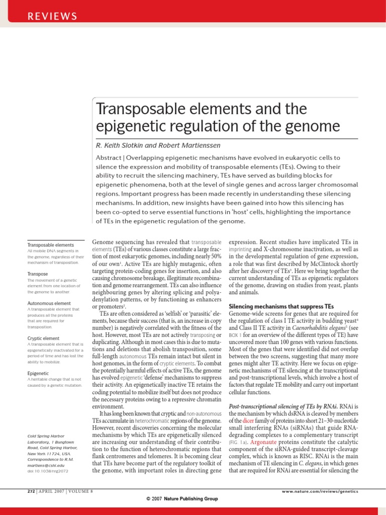 Transposable Elements and The Epigenetic Regulation of The Genome | PDF ...