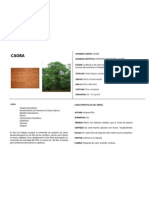 A4 Caoba PDF