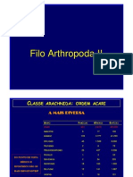 Filo Arthropoda Insetos Ácaros 2 - 2012