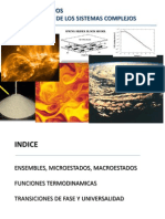 Sistemas Complejos Tema Ii - La Física de Los Sistemas Complejos