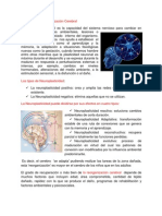 Plasticidad Y Reorganización Cerebral resumennn