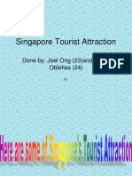 Top 10 Singapore Attractions by Joel and Jonas