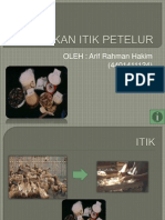 PAKAN ITIK PETELUR