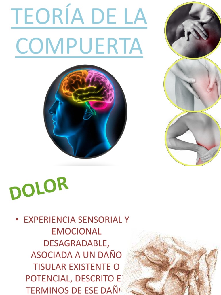 teoria de la compuerta equipo 8.pptx Dolor Neurobiología
