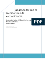 Patologias metabolismo carbohidratos