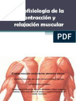Histofisiología de la contracción y relajación muscular