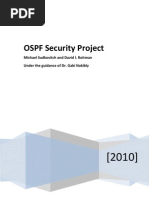2009 2 Ospf Report