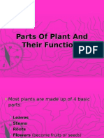 Parts of Plant and Their Functions