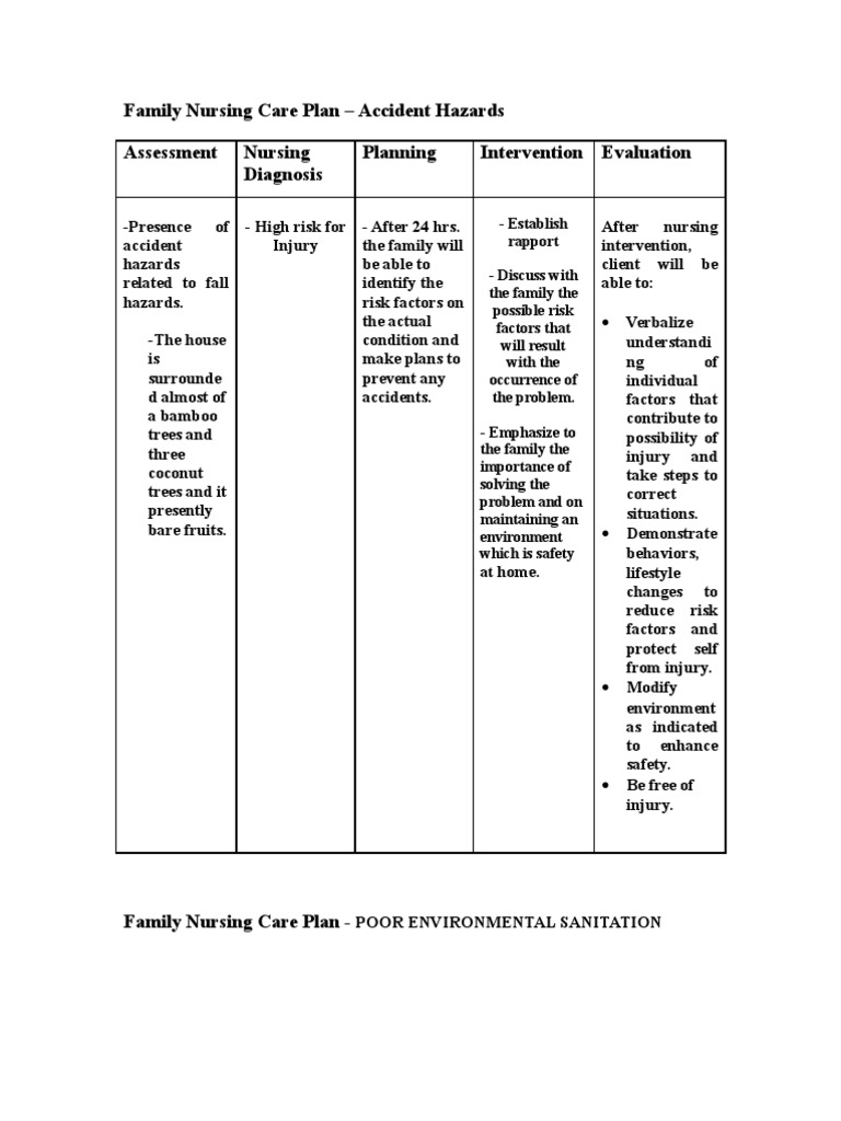 Family Nursing Care Plan in Case Study  Risk  Nursing