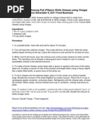 Download How to Make Kesong Puti by Michael Angelo Dejando SN131616983 doc pdf