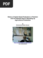 Download Status of Hybrid Seed Production in Pakistan and Its Role in Boosting Up Agricultural Production by Sarwar Muhammad Boota SN131624654 doc pdf