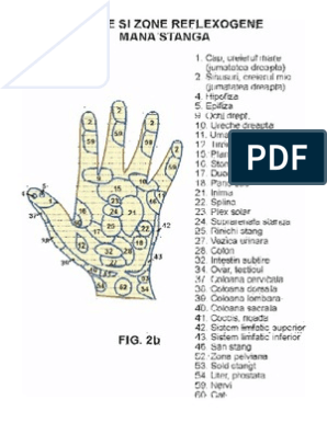 masaj de organe pentru a îmbunătăți erecția ce să mănânci va crește penisul