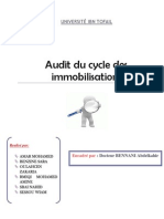 Audit Du Cycle Des Immobilisations - Rapport